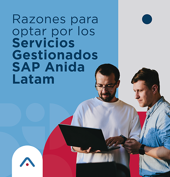 37_Servicios_Gestionados_SAP - ANIDA LATAM